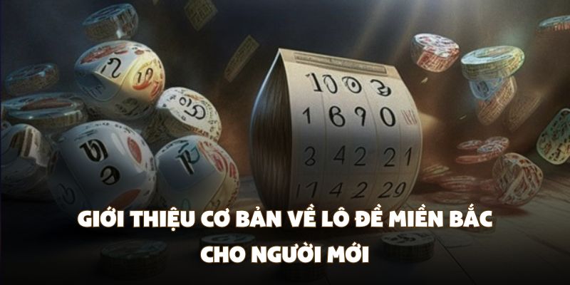 Giới thiệu cơ bản về lô đề miền Bắc cho người mới